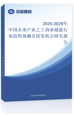 2025-2029Ї(gu)δ(li)a(chn)I(y)̘֮I(y)(ch)ИI(y)څ(sh)A(y)y(c)ͶYC(j)(hu)о(bo)