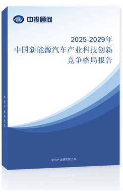 2025-2029ЇԴ܇a(chn)I(y)Ƽ(chung)¸ֈ