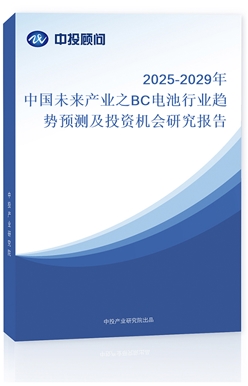 2025-2029Їδa(chn)I(y)֮BC늳ИI(y)څA(y)yͶYC(j)(hu)о(bo)