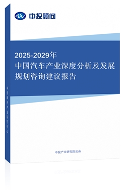 2025-2029Ї(gu)܇(ch)a(chn)I(y)ȷl(f)չҎ(gu)ԃ(xn)h(bo)